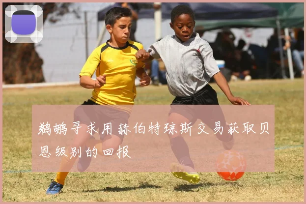 鹈鹕寻求用赫伯特琼斯交易获取贝恩级别的回报