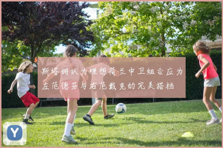 斯塔姆认为理想荷兰中卫组合应为左范德芬与右范戴克的完美搭档