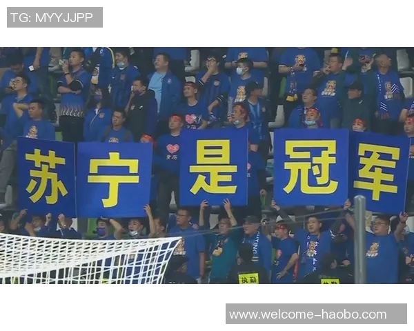 洪正好自由身加盟水原三星前江苏苏宁外援新篇章开启